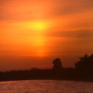 Meet your Posher, Matt